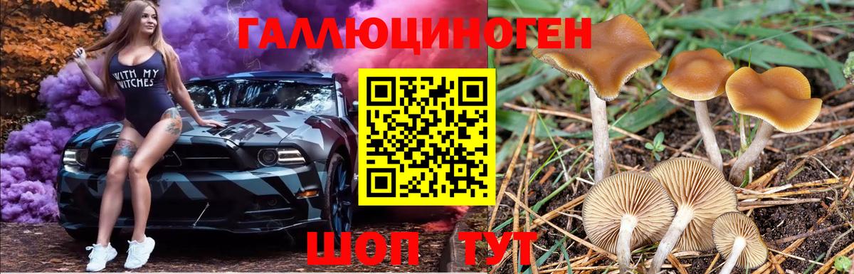Псилоцибиновые грибы MAGIC MUSHROOMS  Вход с VPN  купить наркоту  Добрянка 
